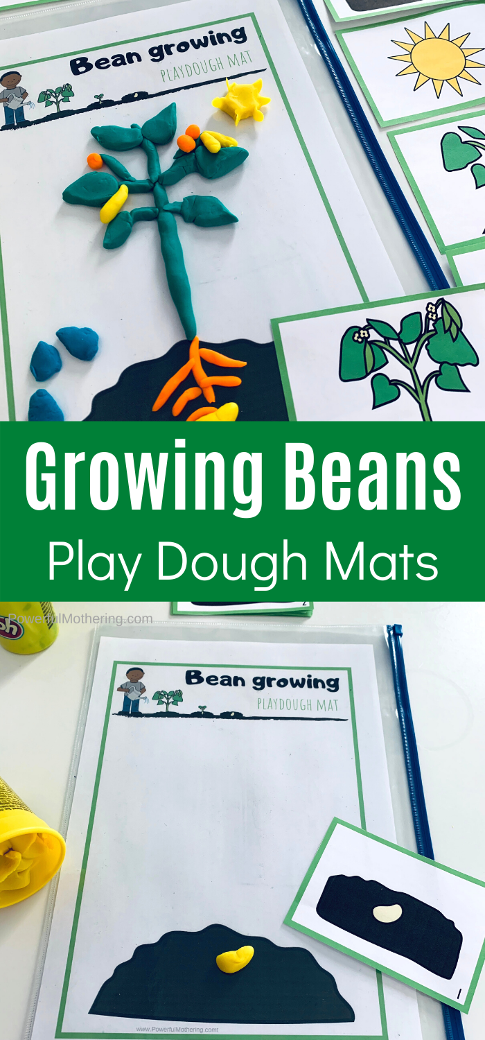 Growing Beans Play Dough Mats: A Life Cycle Activity